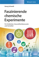 Georg Schwedt - Faszinierende chemische Experimente