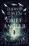 David Owen - Grief Angels