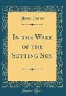 James Carter - In the Wake of the Setting Sun (Classic Reprint)