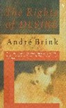 Andre Brink, André Brink - The Rights Of Desire