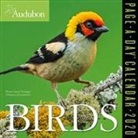 Workman Calendars, Workman Publishing - Audubon Birds Page-A-Day Calendar 2020