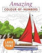 Publishing Arcturus, Arcturus Publishing, Arcturus Publishing Limited, PUBLISHING ARCTURUS - Amazing Colour-By-Numbers Large Print