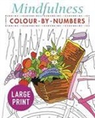 Arcturus Publishing, Arcturus Publishing Limited, Publishing Arcturus - Mindfulness Colour-By-Numbers Large Print