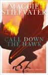 Maggie Stiefvater - Call Down the Hawk