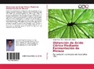 María Belén Rosas, Diego Felip Terán, Diego Felipe Terán - Obtención de Ácido Cítrico Mediante Fermentación de Melaza