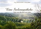 Nick Michael, Nick Michael, Christia Buchholz, Christian Buchholz, Dr Mäule, Thomas Dr. Mäule... - Eine Seelenapotheke