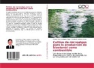 Mel Dolmos Castro, Melchor H. Dolmos Castro, Philippe Mar Rodríguez Aliaga, Philippe Marc Rodríguez Aliaga - Cultivo de microalgas para la producción de bioetanol como combustible
