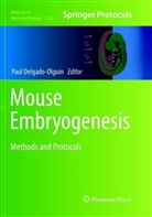 Pau Delgado-Olguin, Paul Delgado-Olguin - Mouse Embryogenesis