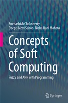 Snehashis Chakraverty, Snehashish Chakraverty, Mahato, Nisha Rani Mahato, Deepti Moy Sahoo, Deepti Moyi Sahoo - Concepts of Soft Computing