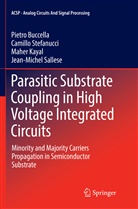 Pietr Buccella, Pietro Buccella, Maher Kayal, Jean-Michel Sallese, Camill Stefanucci, Camillo Stefanucci - Parasitic Substrate Coupling in High Voltage Integrated Circuits