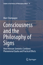 Marc Champagne - Consciousness and the Philosophy of Signs