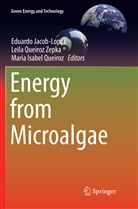 Maria Isabel Queiroz, Eduardo Jacob-Lopes, Maria Isabel Queiroz, Leil Queiroz Zepka, Leila Queiroz Zepka - Energy from Microalgae