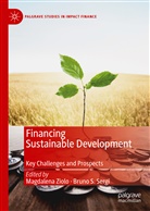 S Sergi, S Sergi, Bruno S. Sergi, Magdalen Ziolo, Magdalena Ziolo - Financing Sustainable Development