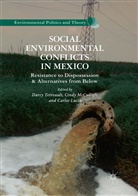 Carlos Lucio, Cind McCulligh, Cindy McCulligh, Darcy Tetreault - Social Environmental Conflicts in Mexico