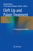 Nivald Alonso, Nivaldo Alonso, Eduardo Raposo-Amaral, Eduardo Raposo-Amaral, Cassio Eduardo Raposo-Amaral - Cleft Lip and Palate Treatment