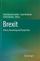 Archil Chochia, Tane Kerikmäe, Tanel Kerikmäe, David Ramiro Troitiño - Brexit