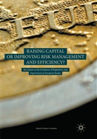 Fabian Colombini, Fabiano Colombini - Raising Capital or Improving Risk Management and Efficiency?