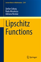 tefan Cobza, ¿Tefan Cobza¿, Stefa Cobzas, Stefan Cobzas, Ştefan Cobzaş, Rad Miculescu... - Lipschitz Functions