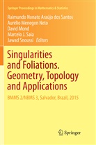 Raimundo Nonato Araújo dos Santos, Auréli Menegon Neto, Aurélio Menegon Neto, David Mond, David Mond et al, Marcelo J. Saia... - Singularities and Foliations. Geometry, Topology and Applications