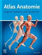 Elsevier GmbH, Elsevier GmbH, Urban &amp; Fischer - Atlas Anatomie