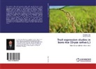 Shantan Das, Shantanu Das, Debojit Sarma - Trait expression studies in boro rice (Oryza sativa L.)