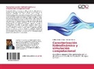 Carlo Cortés Ramos, Carlos Cortés Ramos, Germán Merino - Caracterización hidrodinámica y simulación computacional