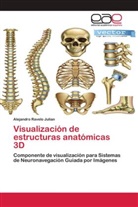 Alejandro Ravelo Julian - Visualización de estructuras anatómicas 3D