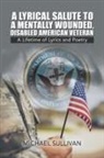 Michael Sullivan - A Lyrical Salute to a Mentally Wounded, Disabled American Veteran