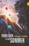 Christopher Dreisbach - Your God Is Too Somber