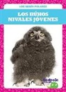 Genevieve Nilsen - Los Búhos Nivales Jóvenes (Snowy Owlets)