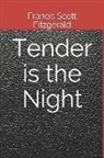 F. Scott Fitzgerald - Tender Is the Night