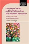 Sandro Sessarego, Sandro (University of Texas Sessarego, Sessarego Sandro - Language Contact and the Making of an Afro-Hispanic Vernacular