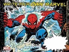 Steve Ditko, Jess Harrold, Gil Kane, Jack Kirby, Marvel Comics, Marvel Comics... - WRITE YOUR OWN MARVEL