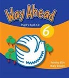 Mary Bowen, Printha J Ellis, Printha J Bowen Ellis - Way Ahead 6 Teachers Book Cdx1 (Audio book)