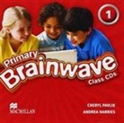 Brainwave British Edition Level 1 Class Audio Cdx2 (Audio book)