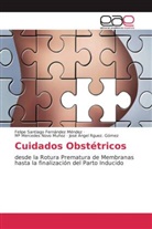 Felipe Santiag Fernández Méndez, Felipe Santiago Fernández Méndez, M Me Novo Muñoz, Mª M Novo Muñoz, Mª Mercedes Novo Muñoz, José Ángel Rguez. Gómez - Cuidados Obstétricos