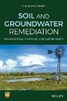 C Zhang, Chunlong Zhang, Chunlong (University of Houston-Clear Lake) Zhang, Zhang Chunlong - Soil and Groundwater Remediation