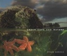 Ethan Daniels, Ethan Daniels - Under Cape Cod Waters
