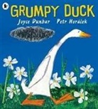 Joyce Dunbar, Petr Horacek - Grumpy Duck