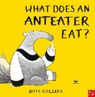 Ross Collins - What Does an Anteater Eat?