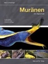 Marco Lichtenberger - Muränen im Aquarium