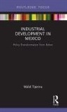 Walid Tijerina - Industrial Development in Mexico