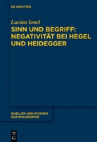 Lucian Ionel - Sinn und Begriff