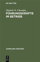 Dimitris N. Chorafas - Führungskräfte im Betrieb