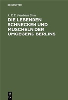 J P E Friedrich Stein, J. P. E. Friedrich Stein - Die lebenden Schnecken und Muscheln der Umgegend Berlins