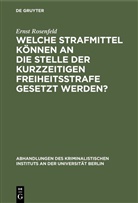 Ernst Rosenfeld - Welche Strafmittel können an die Stelle der kurzzeitigen Freiheitsstrafe gesetzt werden?