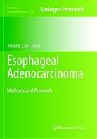 Alfre K Lam, Alfred K Lam, Alfred K. Lam - Esophageal Adenocarcinoma