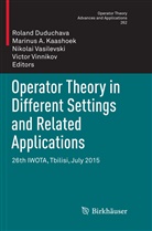 Marinu A Kaashoek, Marinus A Kaashoek, Roland Duduchava, Marinus A. Kaashoek, Nikolai Vasilevski, Nikolai Vasilevski et al... - Operator Theory in Different Settings and Related Applications