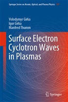 Igo Girka, Igor Girka, Volodymy Girka, Volodymyr Girka, Manfred Thumm - Surface Electron Cyclotron Waves in Plasmas