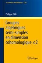 Philippe Gille - Groupes algébriques semi-simples en dimension cohomologique  2